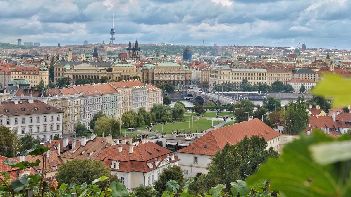 V Praze přibylo půl milionu stromů, do ulic se jich ale dostal jen zlomek
